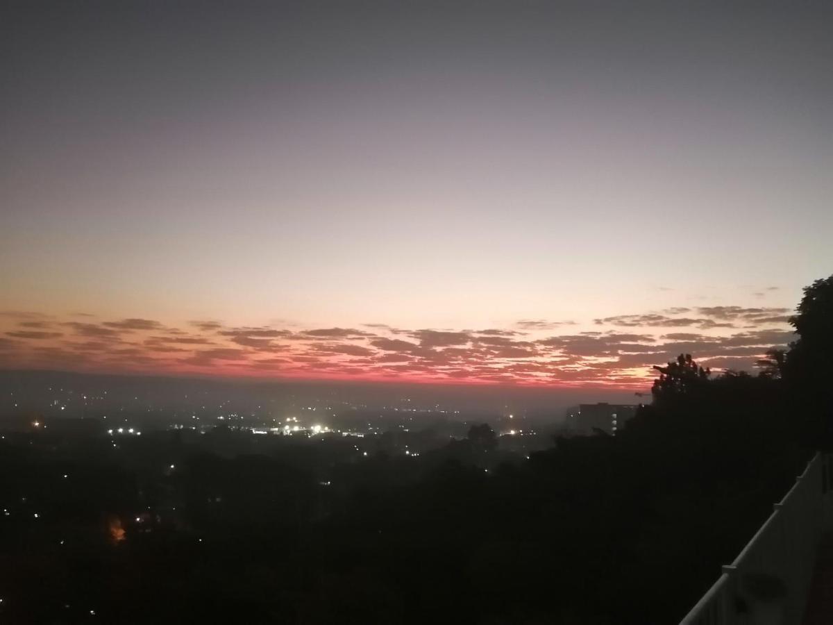 Palm View Guest House Pretoria-Noord Dış mekan fotoğraf