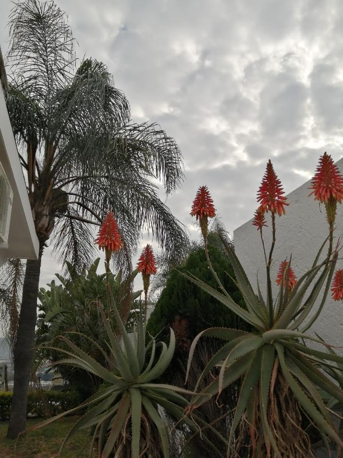 Palm View Guest House Pretoria-Noord Dış mekan fotoğraf